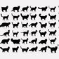 Personalized Pet Magnet