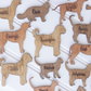 Personalized Pet Magnet