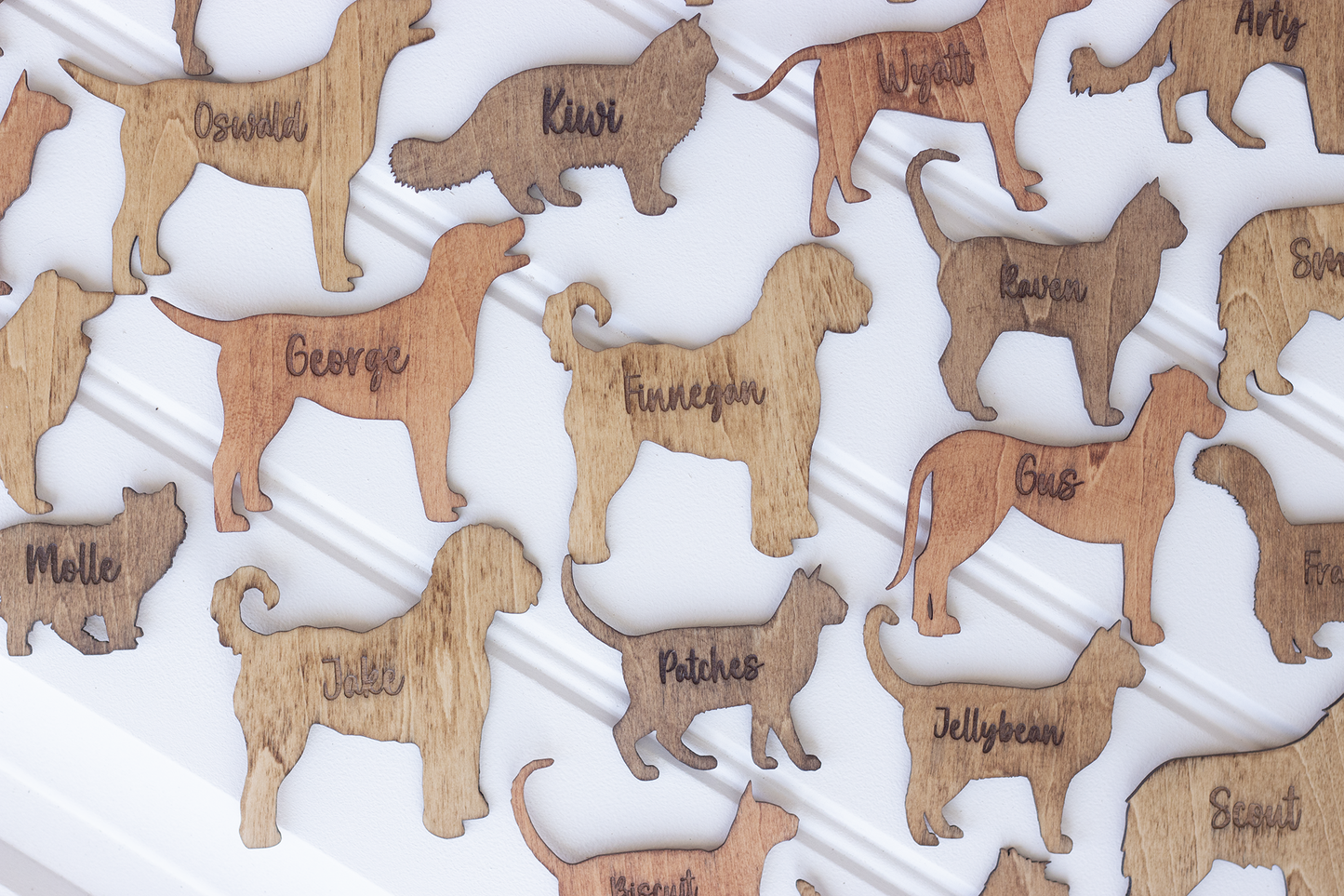 Personalized Pet Magnet