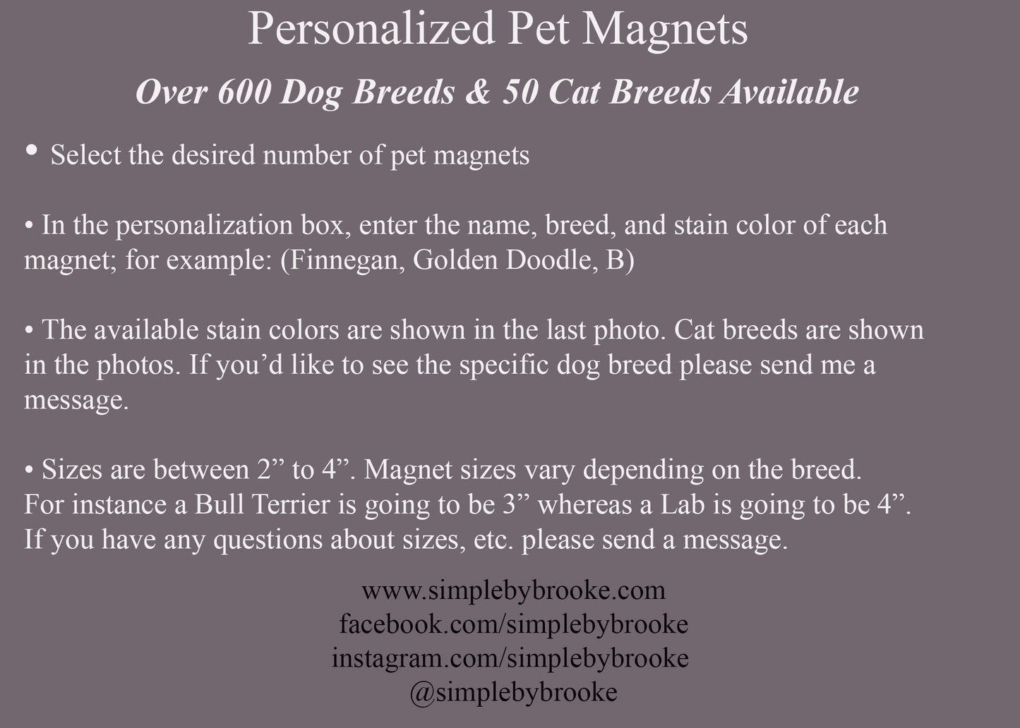 Personalized Pet Magnet